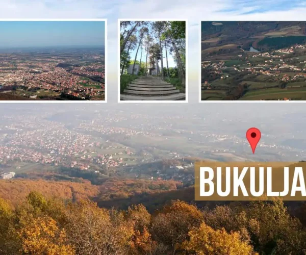 bukulja 6
