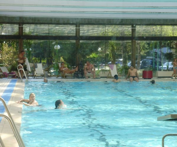 najbolji-bazen-u-vrnjackoj-banji-bazen-breza-1024x768